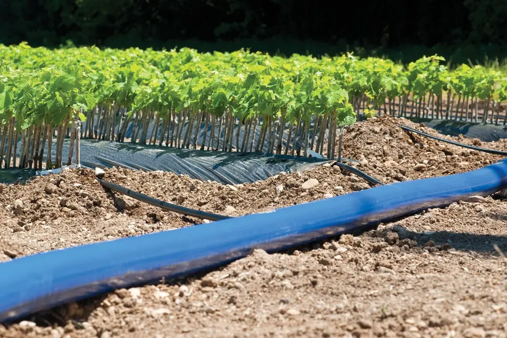 Manguera de descarga de agua plana de PVC para riego agrícola