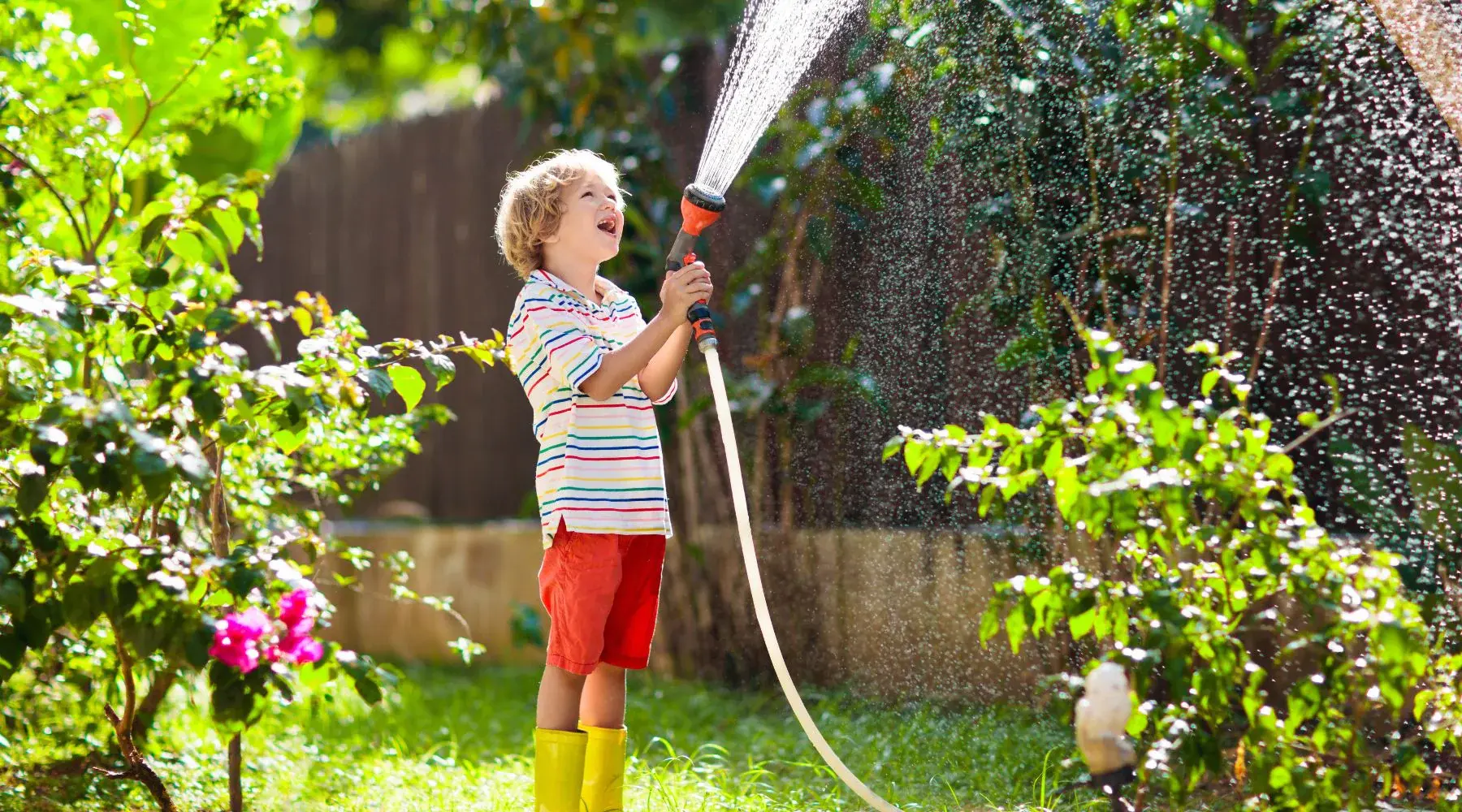 Garden_Hoses_and_Irrigation364554.webp