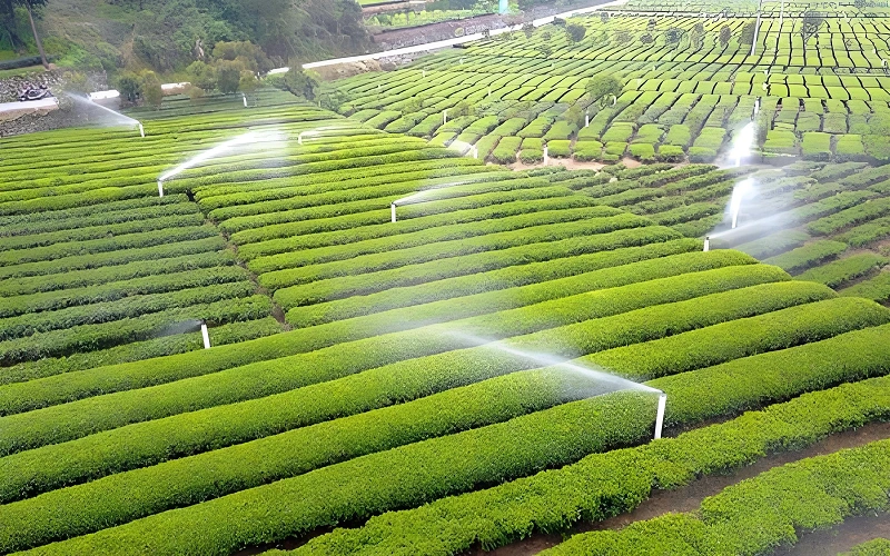 Farmland-irrigation3.webp