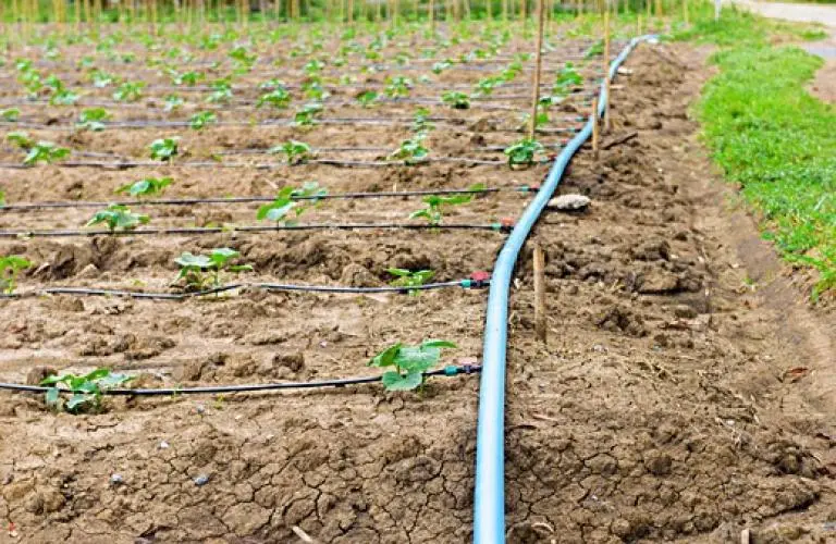 Irrigation Hose.webp